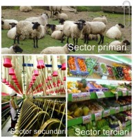 /album/els-sectors-econ%c3%b2mics/cats-jpg/